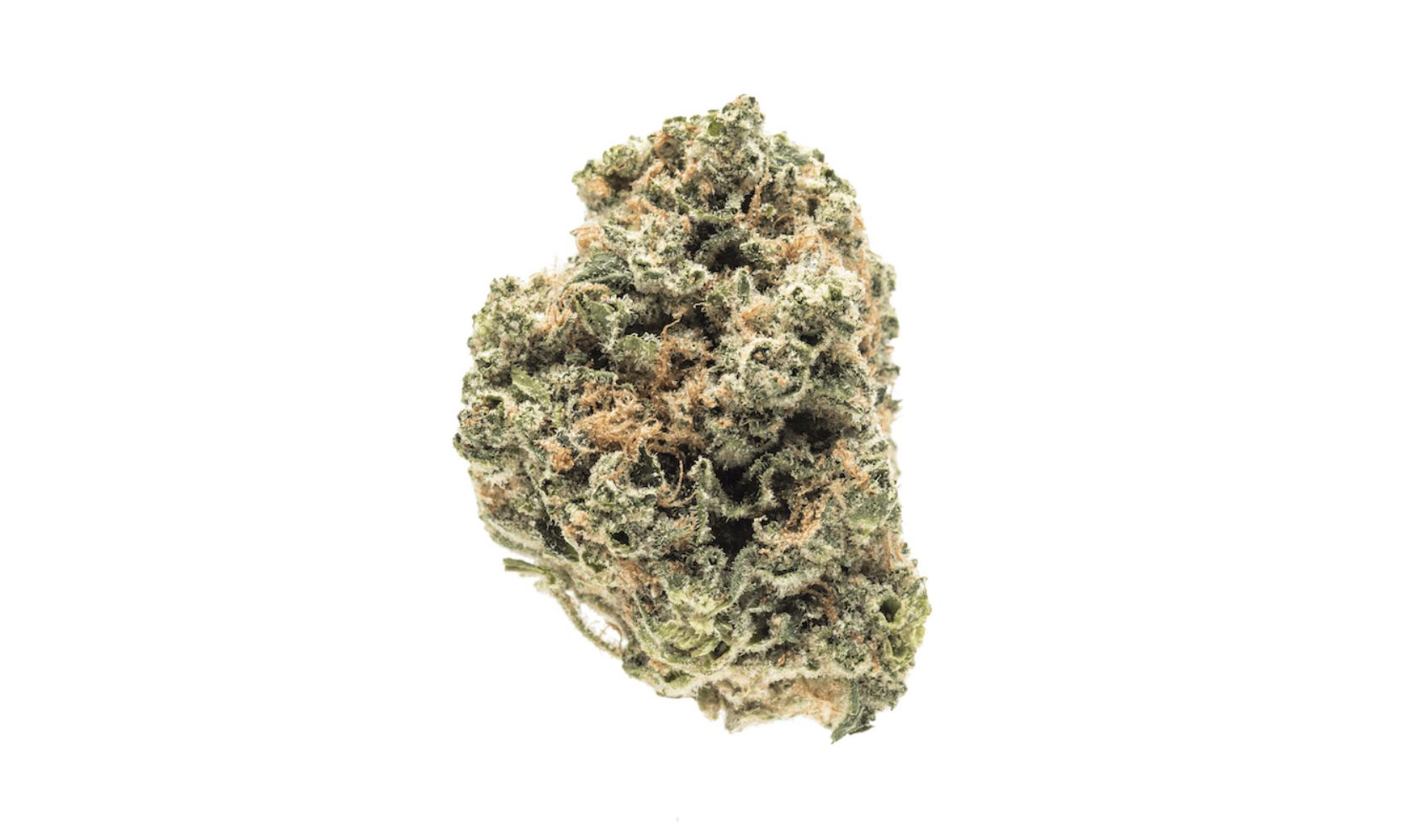 Buy Weed Online. #1 Online Dispensary Canada For Cheap Bud