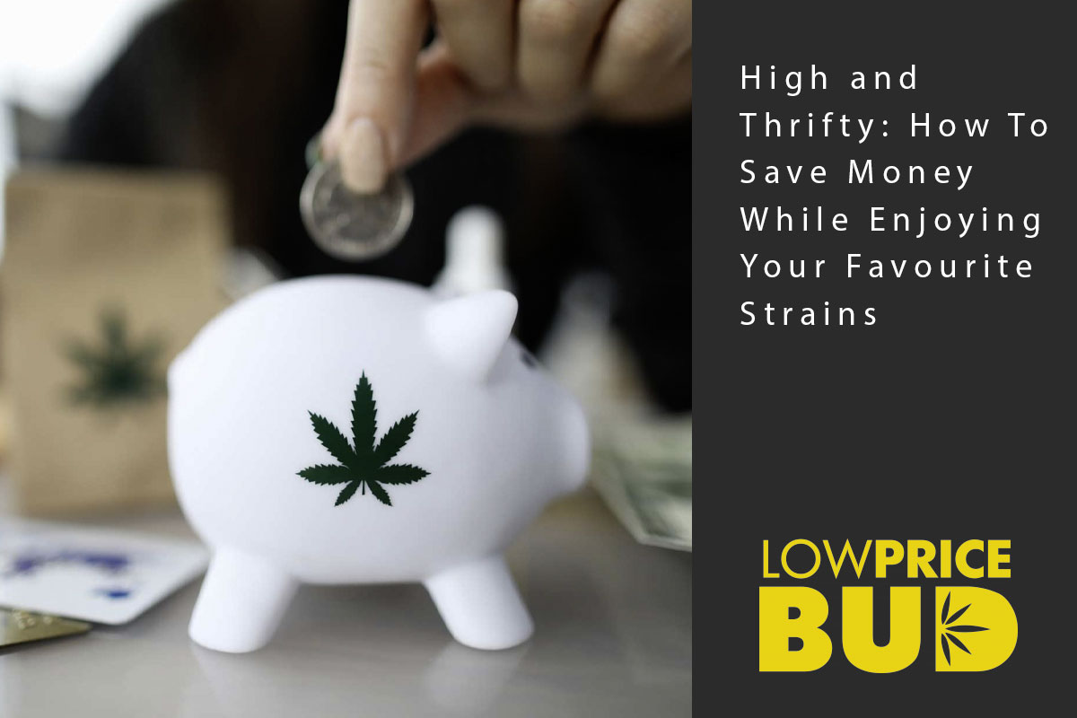High and Thrifty: How to Save Money while enjoying your Favourite Strains - Low Price Bud