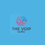 The VOIP Guru Inc