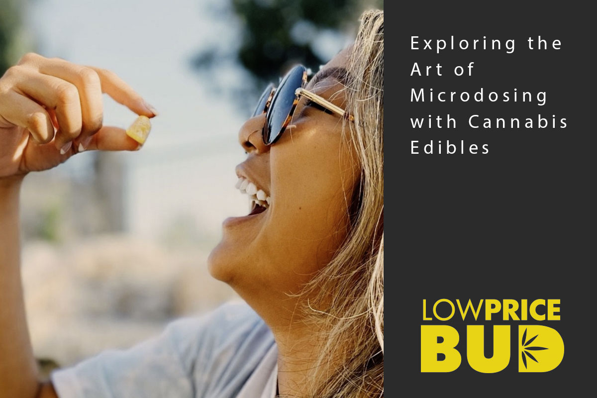 Exploring the Art of Microdosing with Cannabis Edibles - Low Price Bud