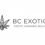 BC Exotics