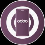 odoo integrations5