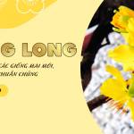 nguyenbich nguyenbich