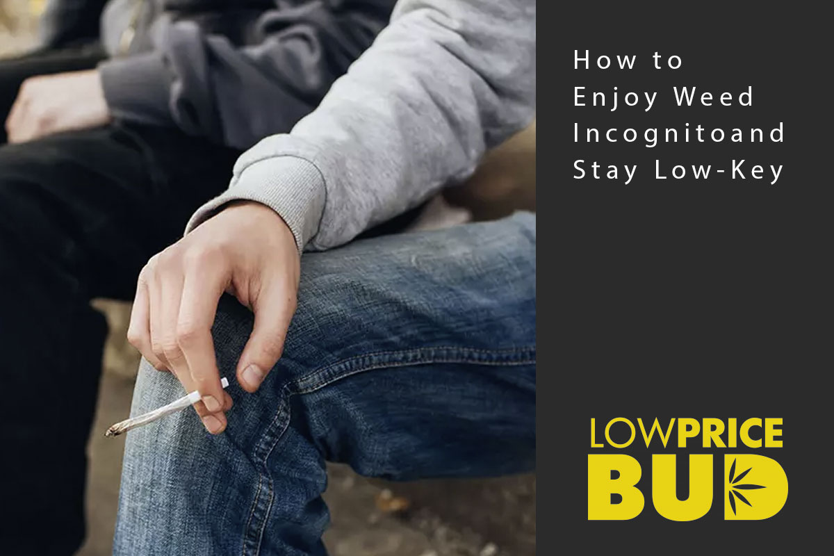 How to Enjoy Weed Incognito and Stay Low-Key - Low Price Bud