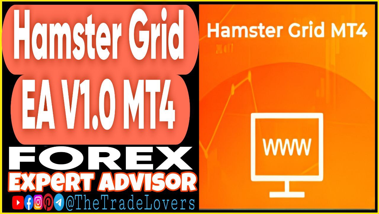 Hamster Grid EA v1.0 MT4 Sets (Works on Build 1431 ) | Forex Robot | MT4 Expert Advisor - Payhip