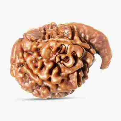 Ganesha Rudraksha Profile Picture