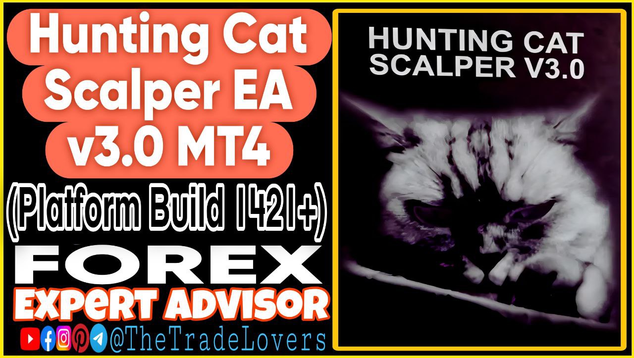 Hunting Cat Scalper EA v3.0 MT4 (Works on Build 1421 ) | Forex Robot | MT4 Expert Advisor - Payhip