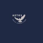 Aetos Data Consulting LLC