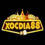 xocdia88 black