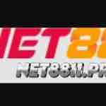 net 88