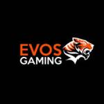 Evosgaming 1