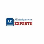 All Assignment Experts