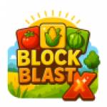 Block Blast