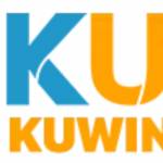 Kuwin Net