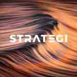 STRATEGI Marketing Group