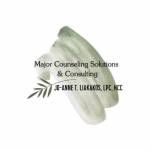 Major Counseling Solutions Consulting
