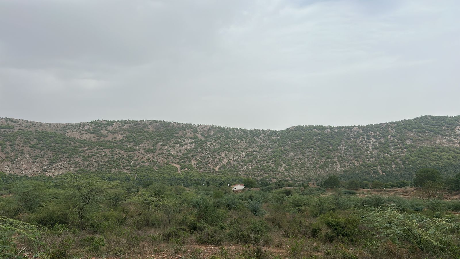 Naugaon Farmhouses | Alwar | Rajasthan - The Whitelisted Estates: Certified RERA Consultancy