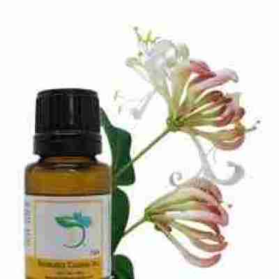 Honeysuckle Absolute Oil Profile Picture