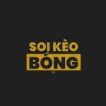 Soikeobongda Cc