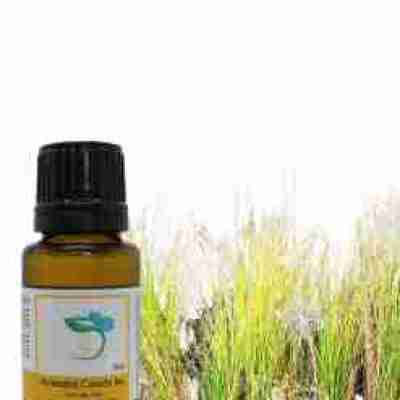 Vetiver Organic Essential Oil Profile Picture