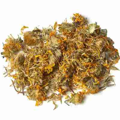 Arnica Flowers – Spirit of the Herbs Profile Picture