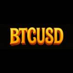btcusd vn