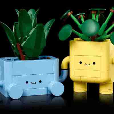 LEGO Botanicals - Happy Plants Profile Picture
