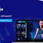 Winexch Game