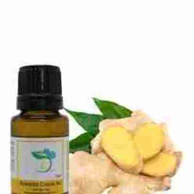 Ginger Root (Fresh) Essential Oil Profile Picture