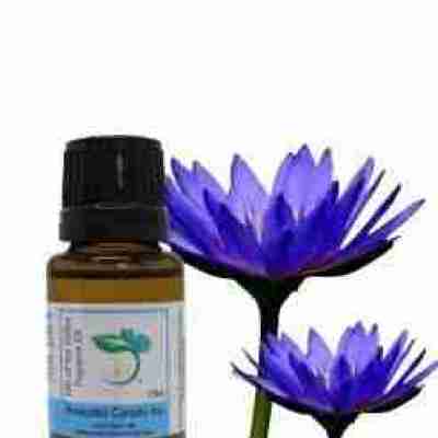 Lotus Blue (Blue Water Lily) Absolute Oil Profile Picture