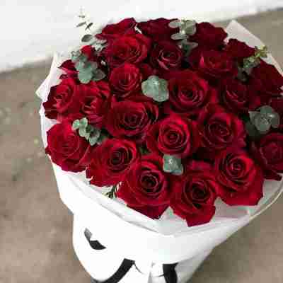 Temp Style Profile Picture