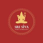 Sri Siva Nadi Astrology Online