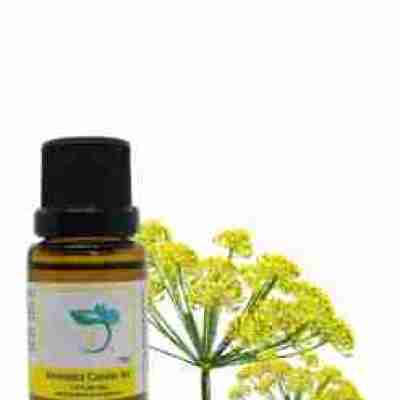 Fennel Organic Essential Oil Profile Picture