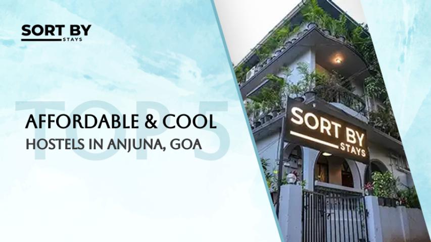 Affordable & Cool: Top 5 Hostels in Anjuna, Goa - PromoteProject | Startup Growth Platform