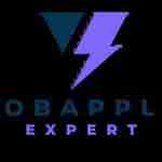 Job application service usa