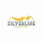Silverline Roofing