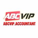 accountant abcvip