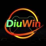 Diuwin game
