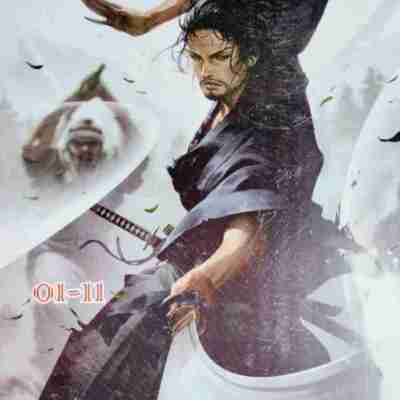 Vagabond Manga Box Set (Volumes 1-11) (Paperback, Takehiko Inoue) Profile Picture