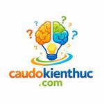 Câu Đố Kiến Thức
