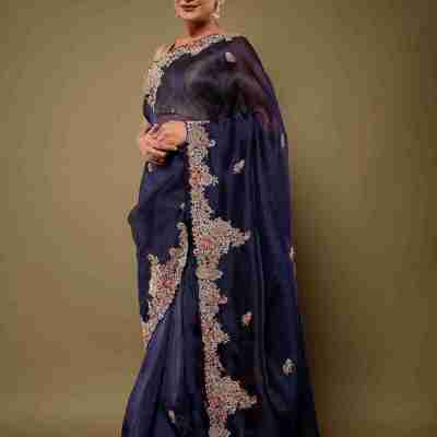 Royal Blue pure organza Dapka Marodi Zardozi border butti handwork saree Profile Picture