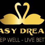easy dream