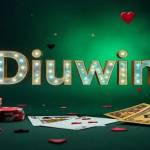 Diuwin Login