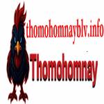 thomohomnay blvinfo
