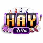 haywin hu net