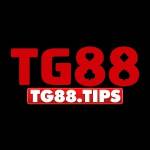 TG 88