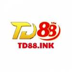 td 88