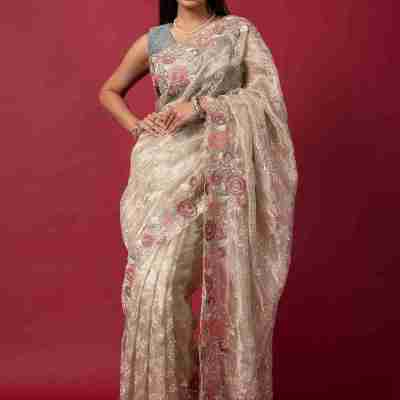 cream Tissue organza fancy sequins handwork saree Profile Picture