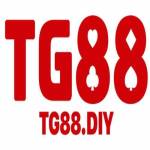 TG88 DIY