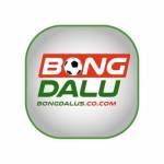 BongDa Lu